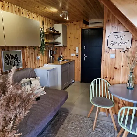 Wdzydze Nad Jeziorem Dom wakacyjny *